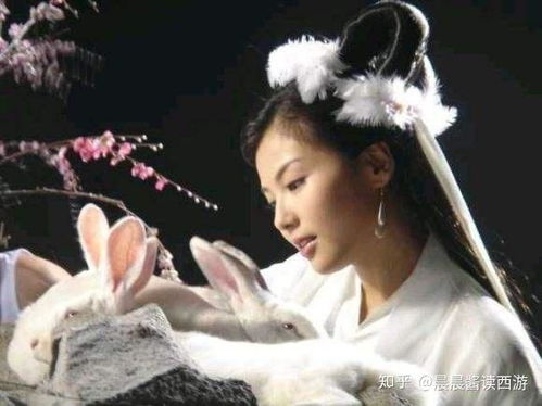 嫦娥下凡做娇妻，热播短剧全集在线观看--第1张