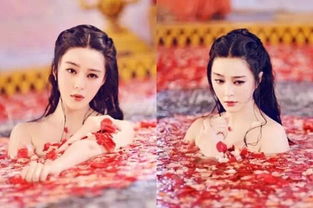 浴火女凰热播短剧全集免费观看--第1张