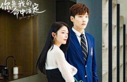 锦鲤老公命中注定嫁给你热播短剧全集剧情在线观看 锦鲤命全文免费阅读--第1张