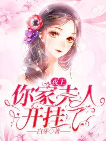 夜少你老婆又闹离婚了免费阅读版在线观看--第1张