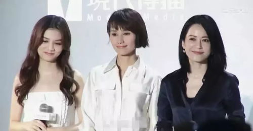 震惊网购买到绝世神章热播短剧全集剧情在线观看，绝世神弓的神秘传说--第1张