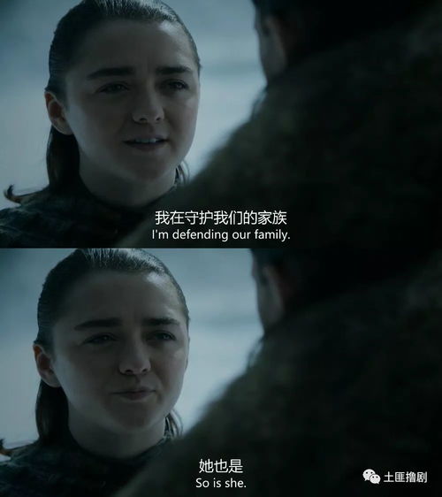 蛰龙热播短剧全集剧情在线观看 蛰龙是什么龙种--第1张