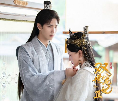 四爷的心尖宠妃热播短剧全集在线观看，剧情与角色交织的奇妙爱情故事--第1张