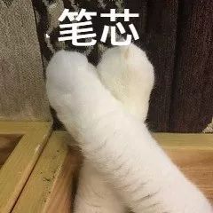 龙王群芳宴热播短剧全集剧情在线观看 龙王群主表情包--第1张