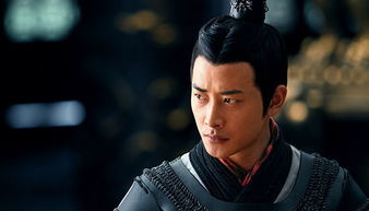 镇北王，短剧全集在线观看--第1张