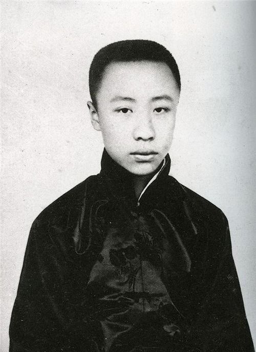 《绝世强者》 绝世强龙之王者之风热播短剧全集剧情在线观看--第1张