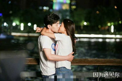 婚后不相识右智园在线观看全集剧情免费版--第1张