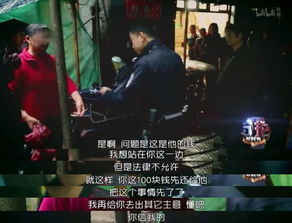 乡村潜龙，隐龙都市在线观看--第1张