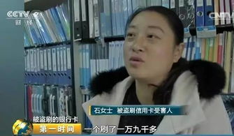  孤注一掷，死不回头，潜伏前妻骗我八百万，我被骗得倾家荡产--第1张