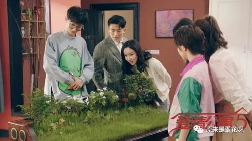 与你共赴的黄昏，短剧全集在线观看--第1张