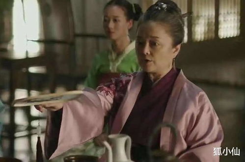 霍总夫人她改嫁了，霍总，夫人又跑了--第1张