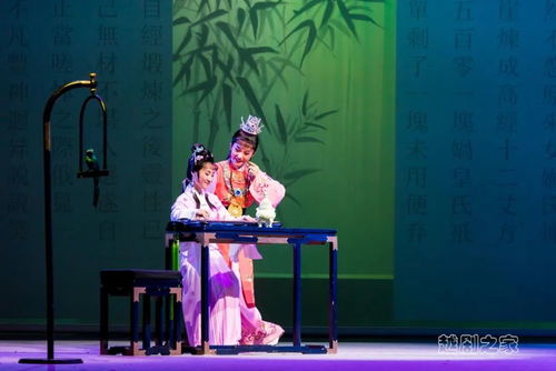 无双狼主热播短剧全集剧情在线观看高清 无双狼主热播短剧全集剧情在线观看--第1张