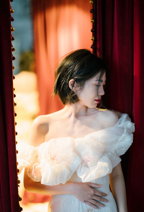 踏月而来全集免费观看，剧情在线阅读--第1张