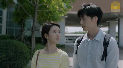 世间情深不过爱全集剧情在线观看--第1张