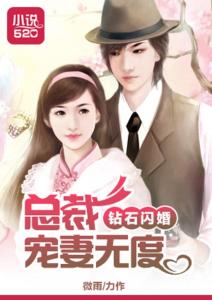 闪婚宠妻进行时，总裁老公，求抱抱--第1张