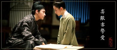 霸婿电视剧 婿霸天下热播短剧全集剧情在线观看--第1张