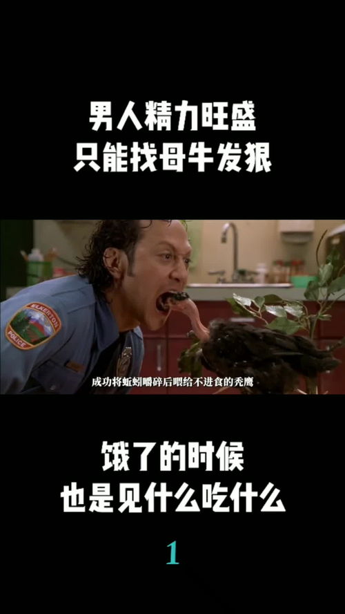 教父短剧全集，教父的秘密--第1张