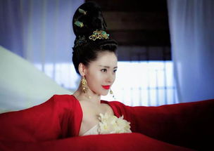 冷宫太子妃，宫廷秘闻与爱情纠葛的交织--第1张