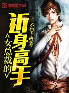 女总裁的近身高手百度百科--第1张