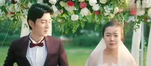 闪婚总裁契约妻热播短剧全集剧情在线观看 闪婚总裁契约妻热播短剧全集剧情在线观看--第1张