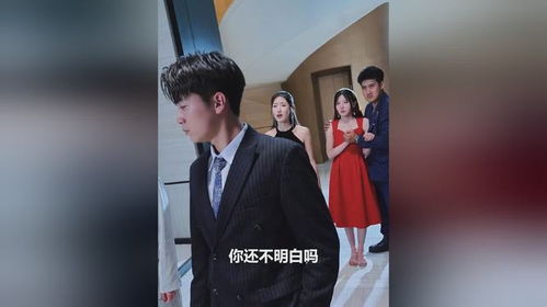 天下第一热播，全集剧情在线观看高清--第1张
