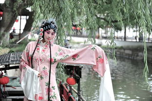 落花时节又逢君免费全文 落花时节又逢君嫁给工厂大人马秋元热播短剧全集剧情在线观看--第1张