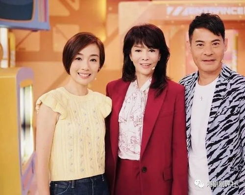 金夫人总裁夫人真千金，总裁热线与全集剧情在线观看--第1张