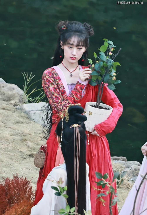 落花时节再逢君，电视剧全集在线观看--第1张