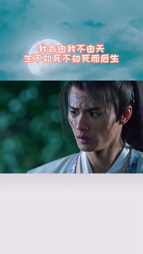 我命由我不由天热播短剧全集剧情在线观看 我命由我不由天在线播放--第1张