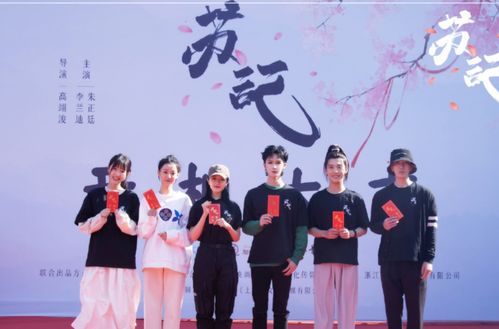 千帆过尽仍是你剧情简介/概述/主题--第1张