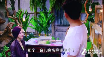 男闺蜜终成眷属热播短剧全集剧情在线观看百度百科--第1张