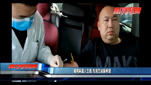 被夺走的人生热播短剧全集剧情在线观看 被夺走的生命--第1张