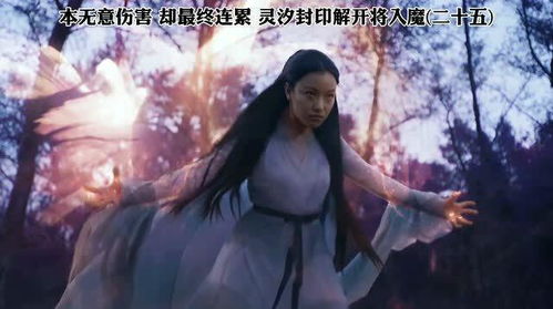 孤注一掷后已无路可退 孤注一掷之无路可逃热播短剧全集剧情在线观看--第1张