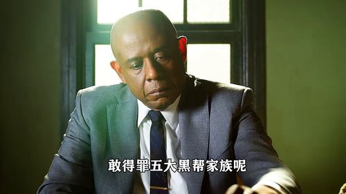 教父第二季在线免费观看全集剧情--第1张