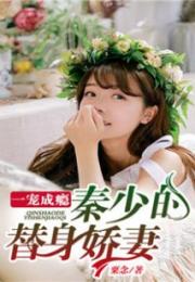 秦少追妻成瘾免费全集剧情在线观看--第1张
