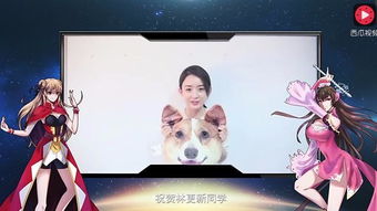 万渣朝凰热播短剧全集剧情在线观看 万渣朝凰爱奇艺动画片--第1张