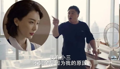 前夫又又又想复婚了剧情简介或概述--第1张
