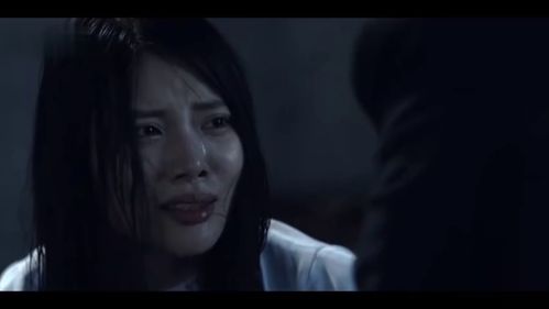 大哥死后大嫂杀疯了热播短剧在线观看，血腥复仇记--第1张
