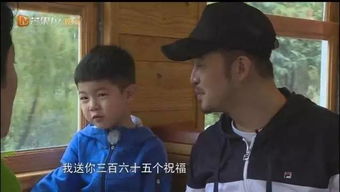 我真不是绝世高手热播短剧全集剧情在线观看 我真不是绝世高手热播短剧全集剧情在线观看第二季--第1张