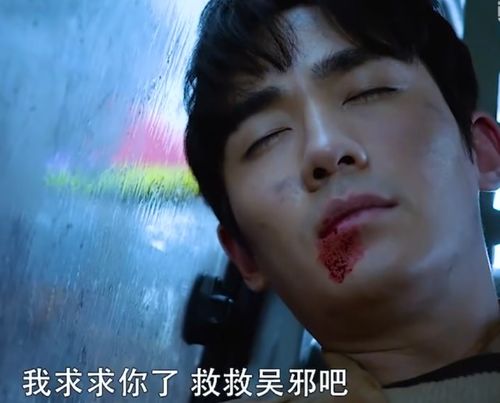 假死后傅总跪求原谅全集在线观看，假死后傅总跪求原谅热播短剧--第1张