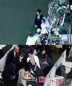 婚礼换爱短剧观看平台 婚礼现场换新娘法律讲堂--第1张