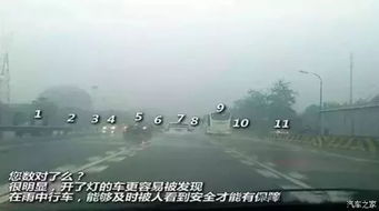 属于你的晴天短剧在哪个平台观看--第1张