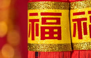 龙年大吉之衣锦还乡短剧观看平台 龙年大吉是不是成语--第1张