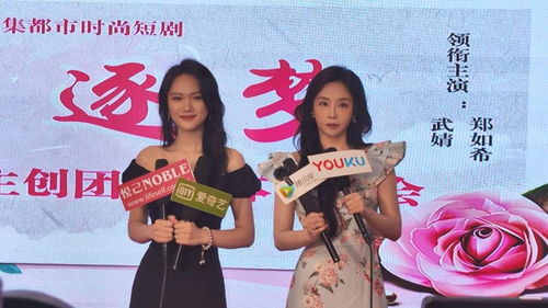 错爱难逃忆似梦鲍治玥短剧观看平台 错爱难为--第1张