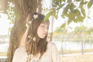 神级龙卫沈浪最新更新免费阅读章节4592章 神级龙卫之沈浪归来的短剧观看平台--第1张