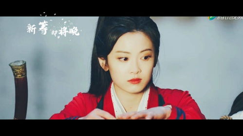 双面赘婿不好惹短剧观看平台 双面赘婿不好惹短剧观看平台免费--第1张
