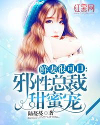 闪婚总裁太甜蜜小说全文免费阅读 闪婚总裁太上头，短剧观看平台--第1张