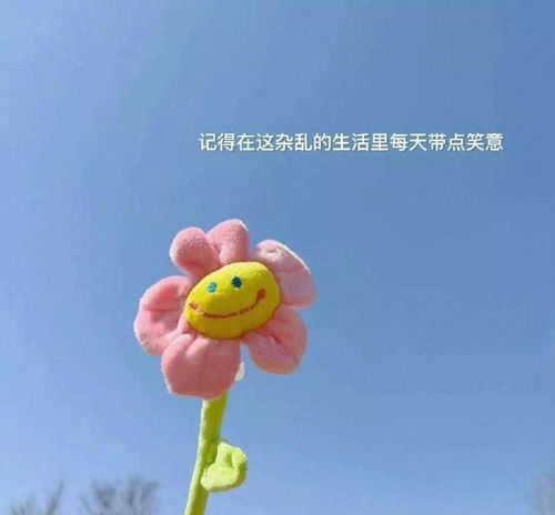 恰好我爱你免费阅读 恰好你爱我短剧观看平台--第1张