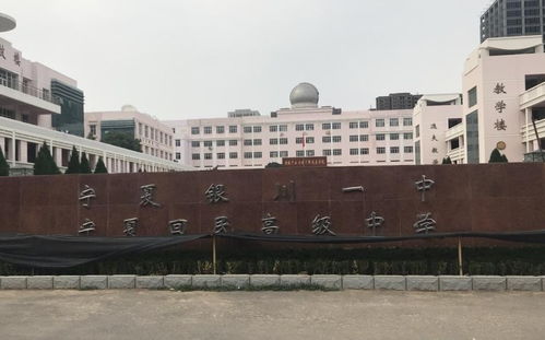 逆袭之最强人生免费阅读在线短剧平台--第1张