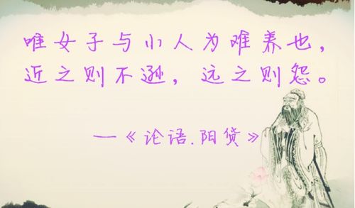 Z再见已是白月光短剧观看平台 再见已是白头翁上一句--第1张